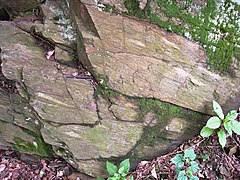 Laurel Formation (4801611117).jpg