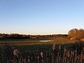 Long Brook - geograph.org.uk - 1751623.jpg