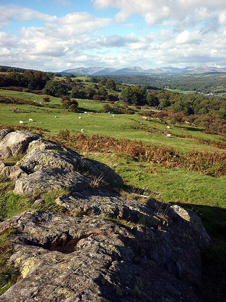 File:Looking north from Raven's Barrow - geograph.org.uk - 2068964.jpg