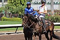 Los Alamitos Sept 2014 IMG 6674 (15131096739).jpg