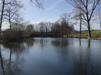 Luckenbachsee looking north-west