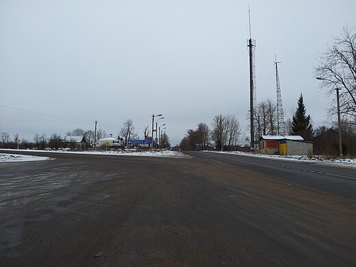 Новгородка псковская область. Новгородка Пушкинские горы. Деревня Всини Псковская область. Деревня Новгородка. Деревня Новгородка Пушкинский район.