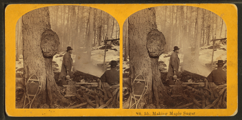 File:Making maple sugar, by Kilburn Brothers 4.png