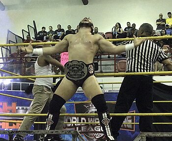 Mark Davidson as WWL Trios Champion.jpg