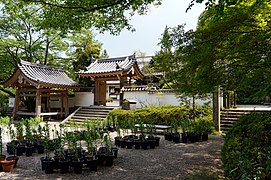Świątynia Matsuo-dera