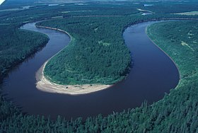 Меандры русла реки Инноко