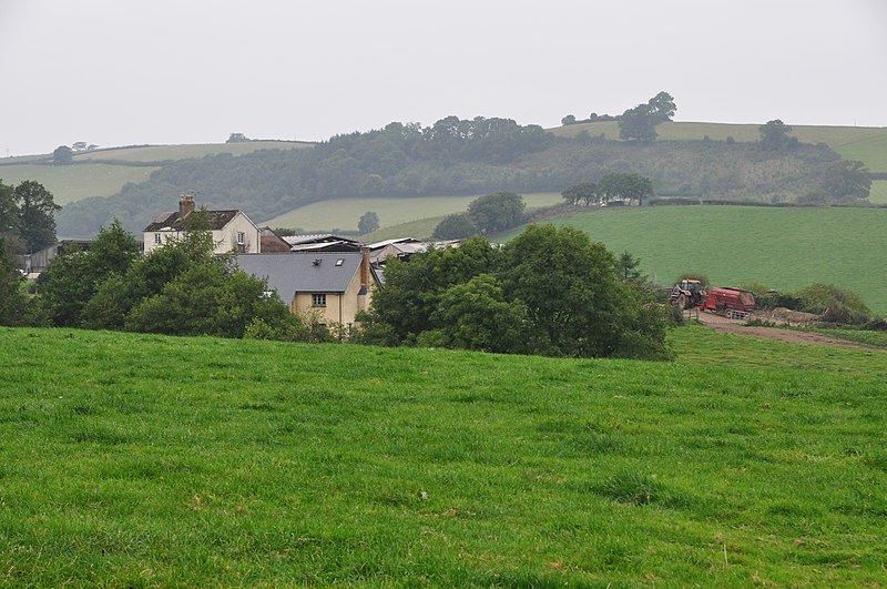 File:Mid Devon , Grassy Field - geograph.org.uk - 4181687.jpg