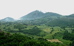 Wheat farms near Asheqlu.