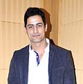 Gambar mini seharga Mohit Raina