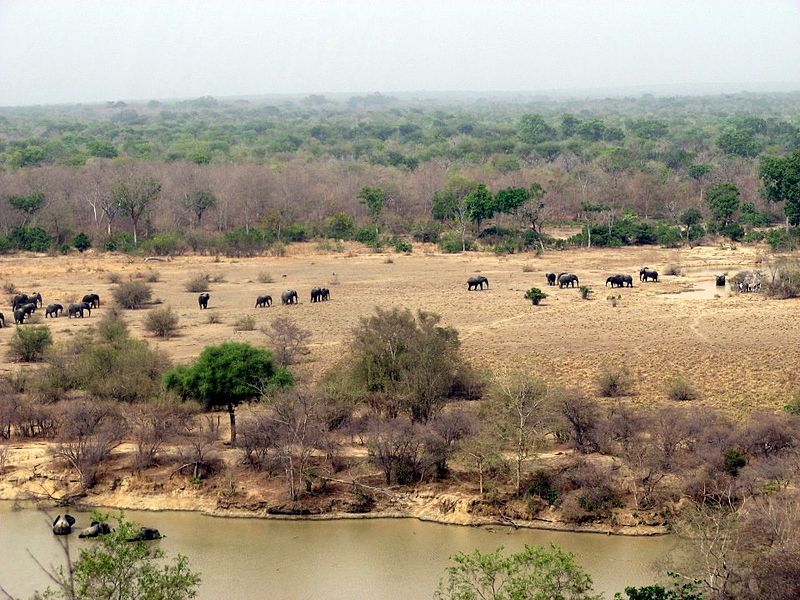 File:Mole National Park from the viewing platform.jpg