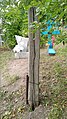 File:Molokan cemetery in Kabaevo village, Mordovia 38.jpg