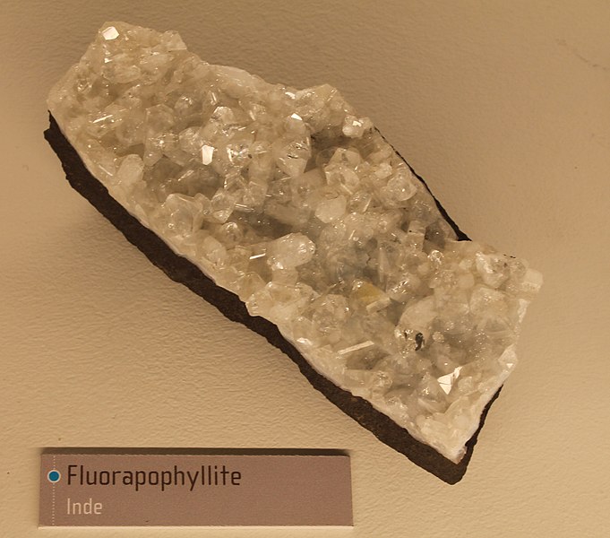 File:Muséum de Nantes - 177 - Fluorapophyllite (Inde).jpg