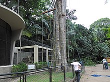 Museu emilio goeldi - panoramio (10).jpg