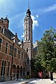 Museum Hof ​​van Busleyden Mechelen 6-07-2018 13-27-14.jpg