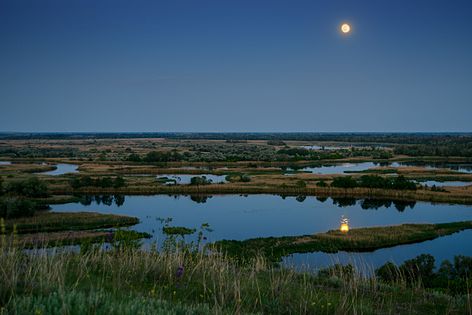 Долина річки Ворскла (Регіональний ландшафтний парк «Нижньоворсклянський»), Полтавська область © Юрій Репало