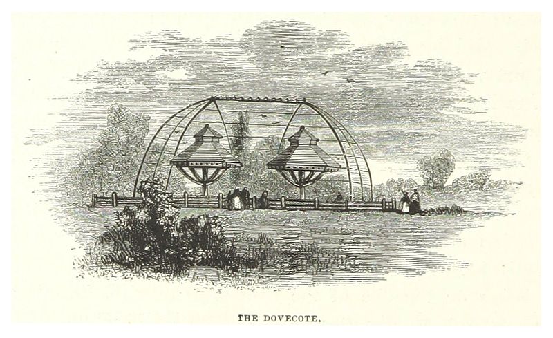File:NYC-CentralPark (1869) p114 The Dovecote.jpg