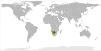 Botswana (în albastru) și Namibia (în roșu) în Africa.