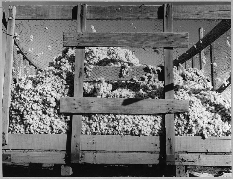 File:Near Eloy, Pinal County, Arizona. Cotton wagon in the field - NARA - 522240.jpg