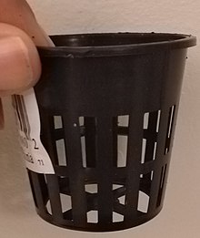 A 2" net pot, which can be used as part of a Kratky system Net pot.jpg