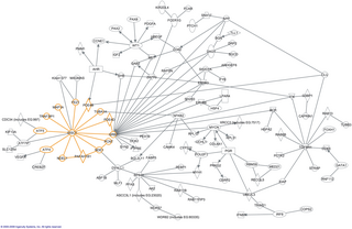 <span class="mw-page-title-main">Interactome</span> Complete set of molecular interactions in a biological cell