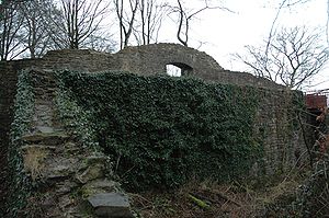 Zwingermauer und das dahinter liegendes Tor der Neuen Isenburg