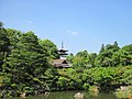Ninna-ji National Treasure World heritage Kyoto 国宝・世界遺産 仁和寺 京都85.JPG