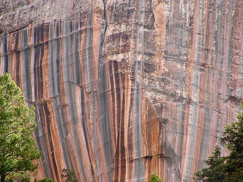 Cliff along North Kaibab Trail, Grand Canyon, Arizona, US
