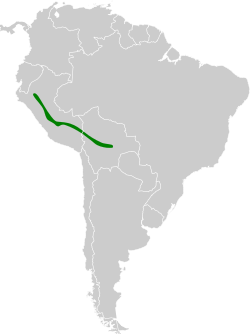 Distribución geográfica del pitajo cejidorado.