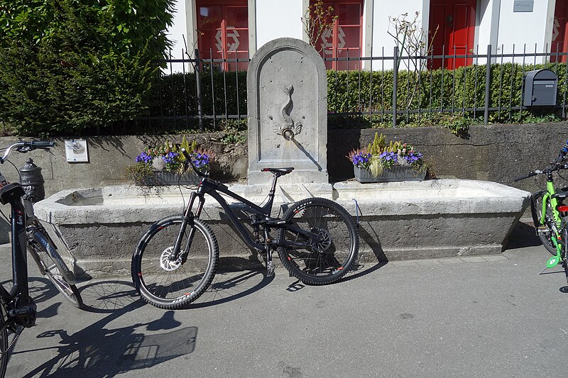 File:Olten Dorfbrunnen Gryffenplatz.jpg