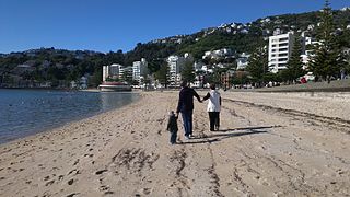 Oriental Bay By Br3nda (Flickr: Oriental Bay) [CC-BY-2.0 (https://creativecommons.org/licenses/by/2.0)], via Wikimedia Commons