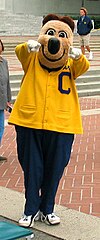 Oski, the mascot of the University of California Oski the Bear.jpg