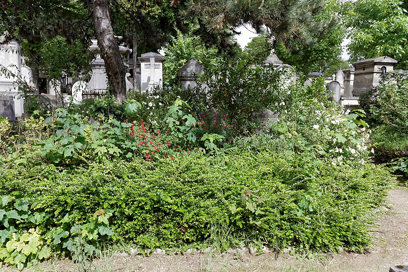 File:Père-Lachaise - Division 49 - Redot 01.jpg