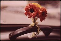 Dan McCoy: PAPER POSY BRIGHTENS INSIDE OF PHOTOGRAPHER'S VW "BEETLE", archiv NARA