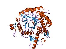 PDB 1vff EBI.jpg