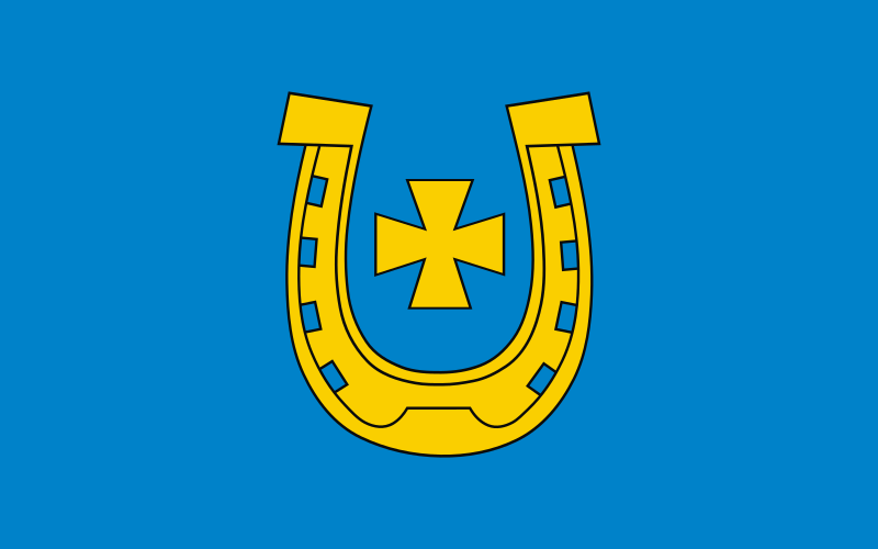 File:POL Bychawa flag.svg