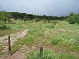 Paisaje de El Pardo (Madrid).