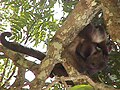 Parque Zoologico de Caricuao