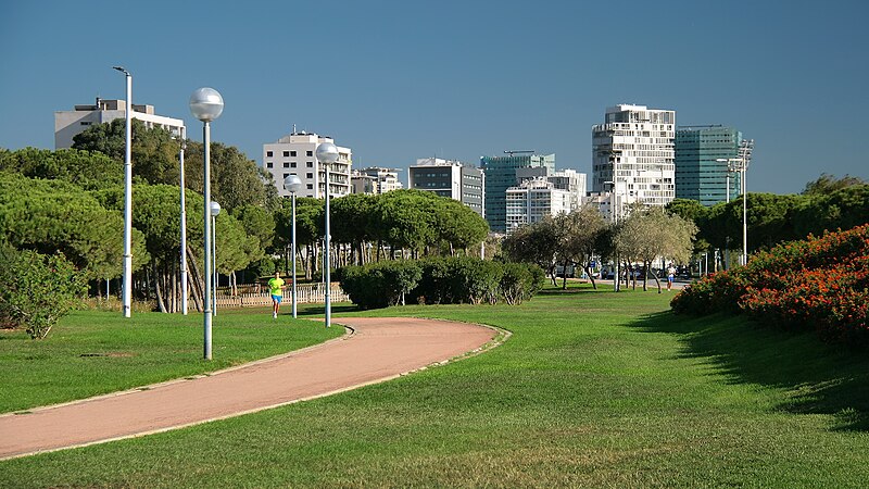 File:Passeig de Garcia Fària - panoramio.jpg