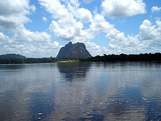 <span class="mw-page-title-main">Río Negro Municipality</span> Municipality in Amazonas, Venezuela