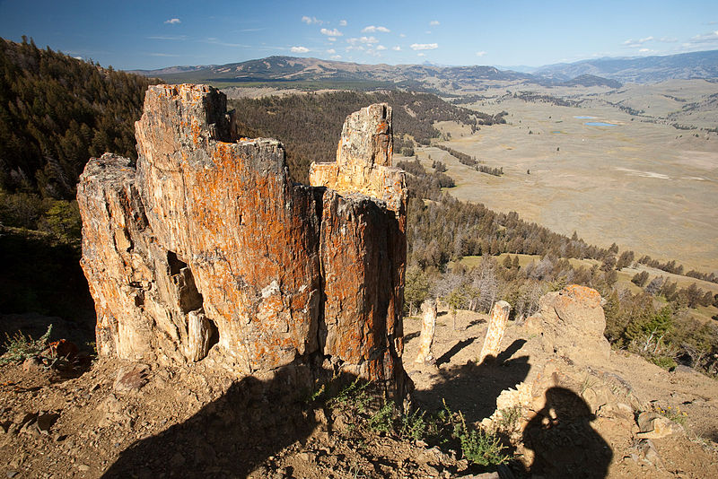 File:Petrified Trunk & the Lamar Valley (3946944019).jpg