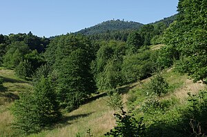 Pfrimmersbachtal