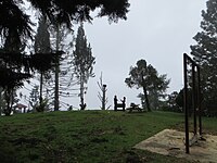 Playground. Holes in ground created by wild boars, 2012