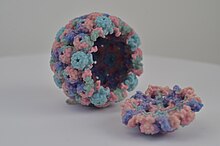 A 3D printed model of a polyomavirus capsid. Polyomavirus (14550144862).jpg