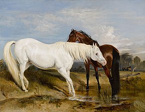 Portrait of an Arab Mare with her Foal, circa 1825