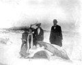 Posing on whale bones- Saint George Island, Florida (3266993935).jpg
