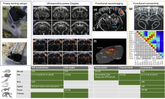 Preclinical applications of fUS imaging Preclinical applications of fUS imaging.svg