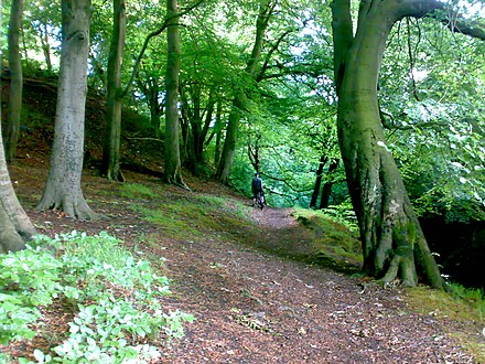 One of the trails to Mere Clough
