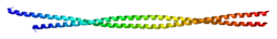 Protein MYH6 PDB 2fxm.png