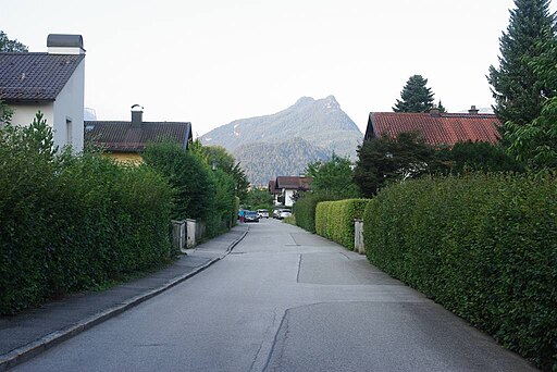 REI Waldweg