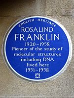 ROSALIND FRANKLIN 1920-1958 Pioneer of the study of molecular structures including DNA lived here 1951-1958.jpg